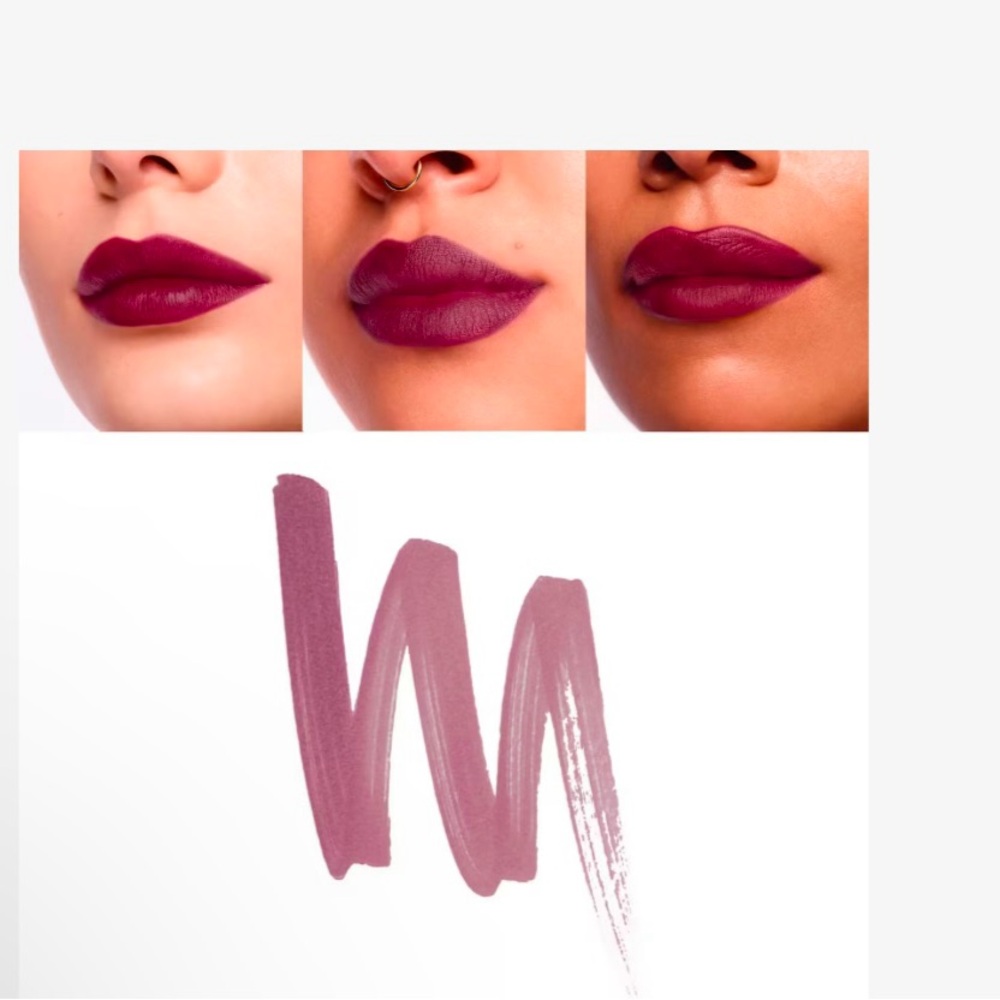 Stila Calligraphy Lip Stain in Susan NWT
